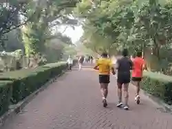 Pengelola Ragunan Akan Menambah Jalur Jogging Baru untuk Pengunjung