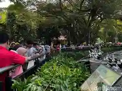 Seorang Warga Tangerang Ajak Anak ke Ragunan: Selama Ini Hanya Melihat Hewan dari YouTube